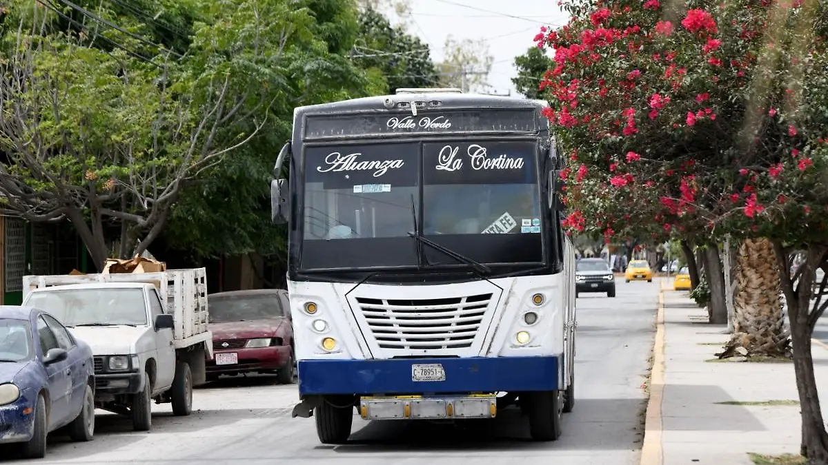 transporte-público (1)